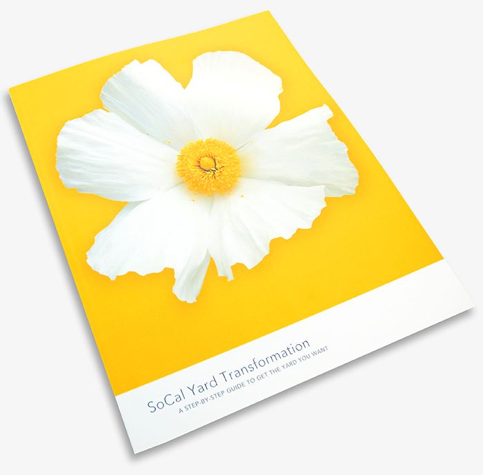 SoCal Yard Transformation