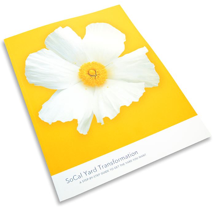 SoCal Yard Book 2017060004c