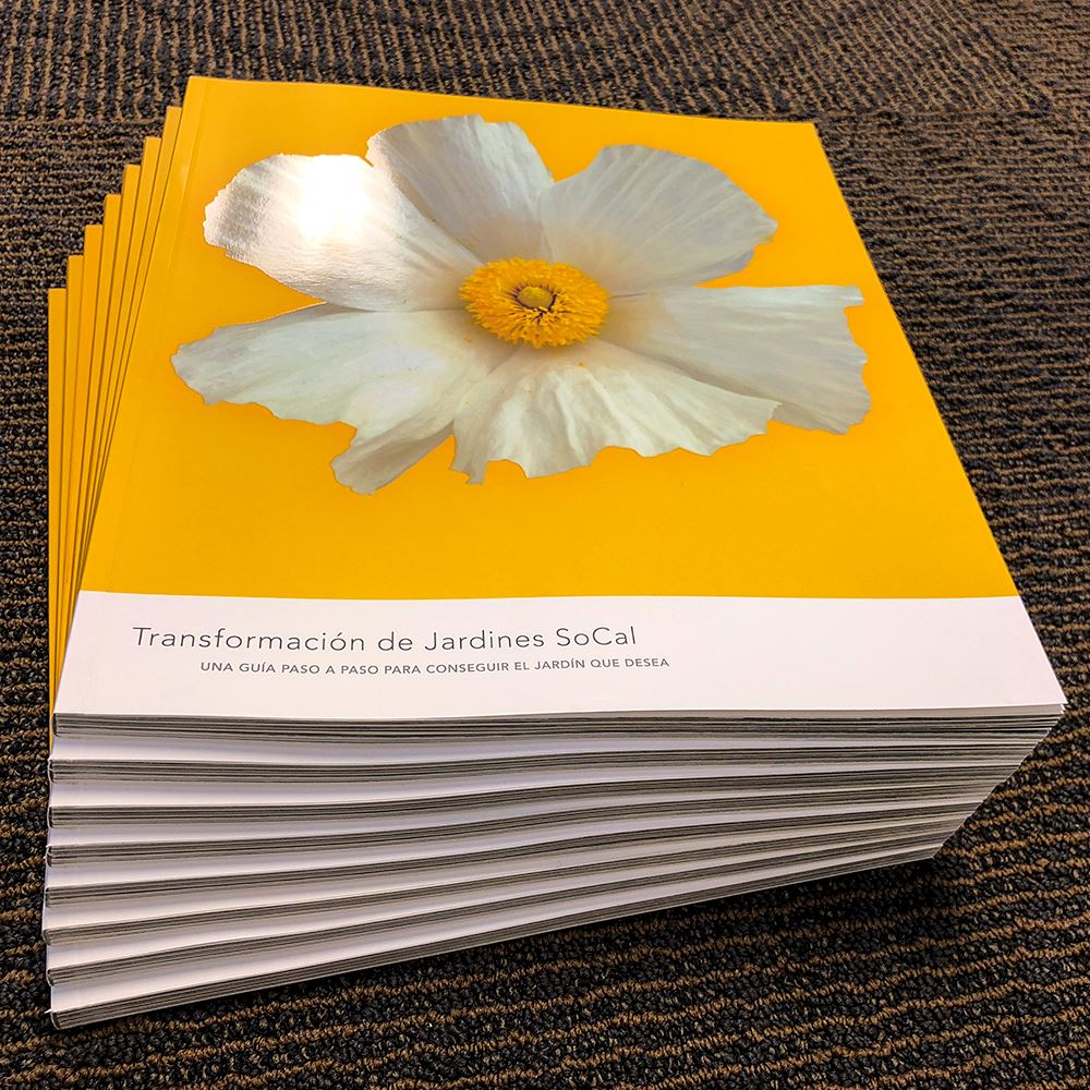 SocalYardBooks_Spanish_201811_0001_Insta