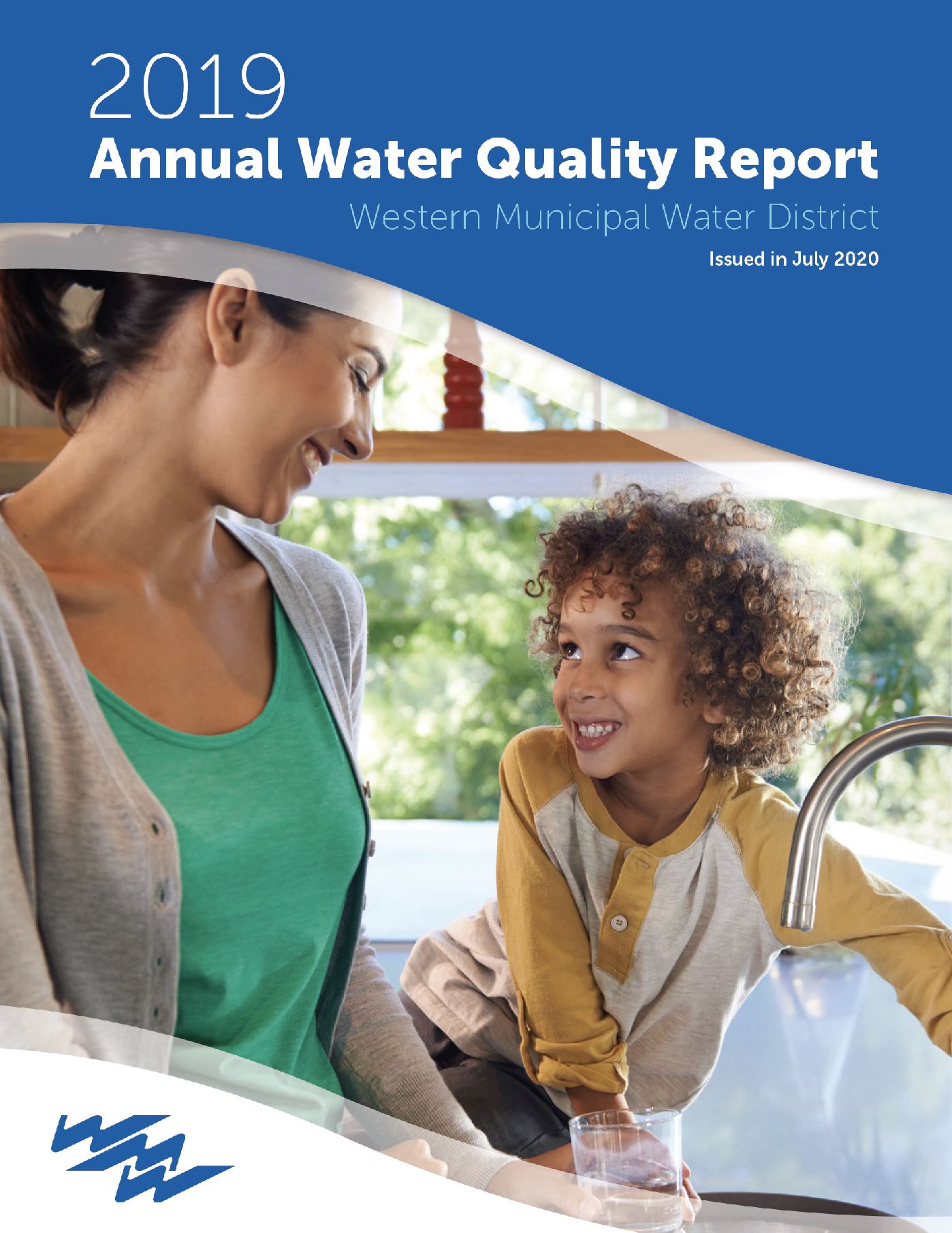 Consumer Confidence Report 2019