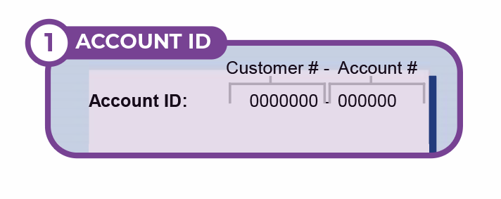 Account ID on Bill