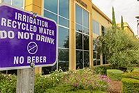 Recycled water irrigation 2017 Thumbnail