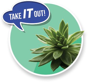 Vector Smart Object-2