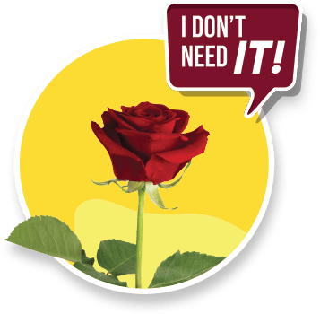 Vector Smart Object-3