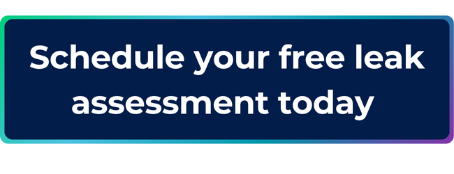Schedule your free leak assessment today button