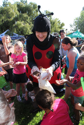 Earth Night in The Garden