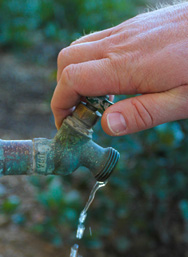 Reduce Outdoor Watering