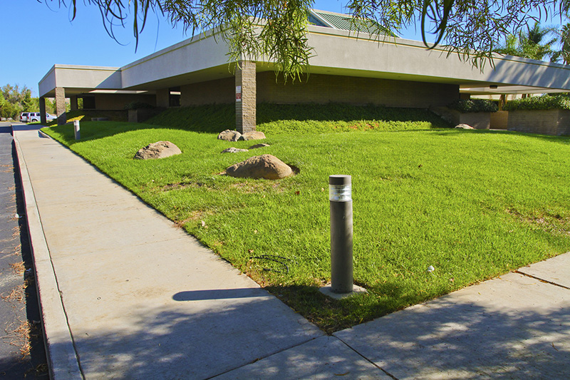 Alessandro Turf Removal